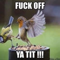 Fuck off ya tit