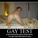 Gay Test mirror2