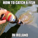 How to catch a fish in Ireland