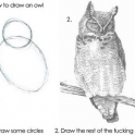 How to draw an owl