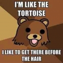 Im Like The Tortoise