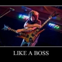 Like a Boss2