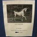 Lost Unicorn