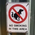 No smoking in this area