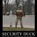 Security Duck