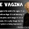 The Vagina