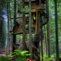 Tree House