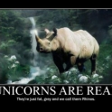 Unicorns are real