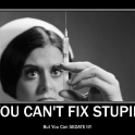 You cant fix stupid2