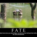 fate2