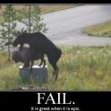 moose epic fail