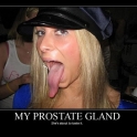 my prostate gland2