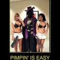 pimpin is easy