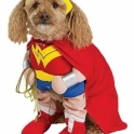 wonder woman dog